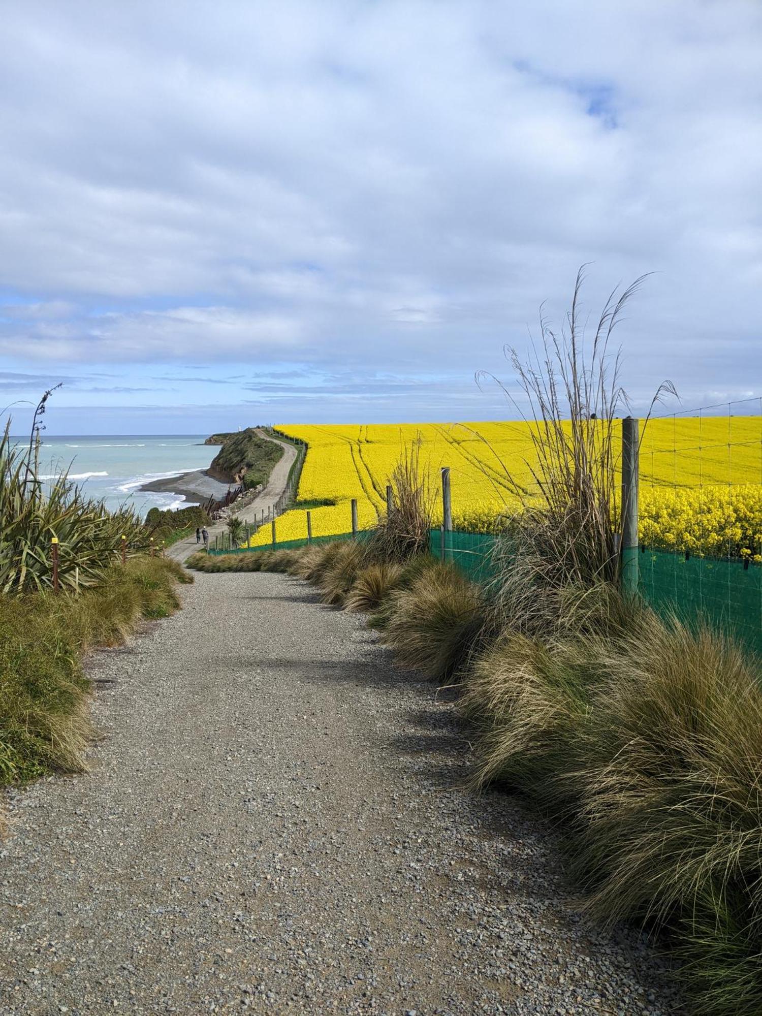 Kingsdown Manor B&B Timaru Kültér fotó